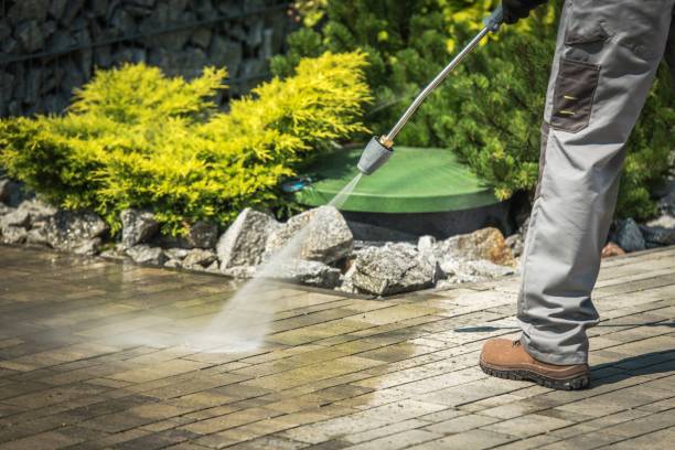 Best Winterizing Services  in Fairlea, WV