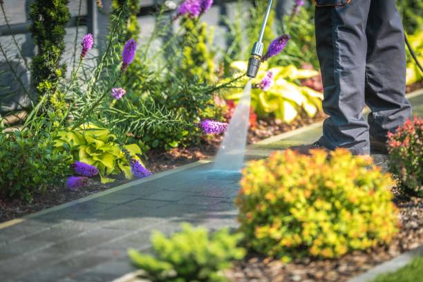 Best Pool Deck Cleaning  in Fairlea, WV