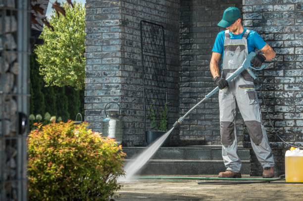 Best Solar Panel Cleaning  in Fairlea, WV