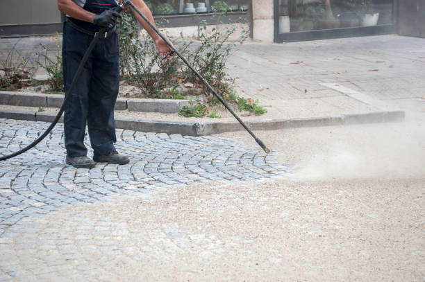 Best Spring Cleaning  in Fairlea, WV