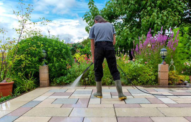 Best Pre-Holiday Cleaning  in Fairlea, WV