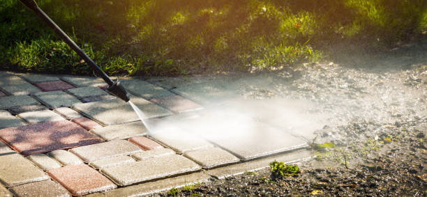 Best Fleet Vehicle Washing  in Fairlea, WV