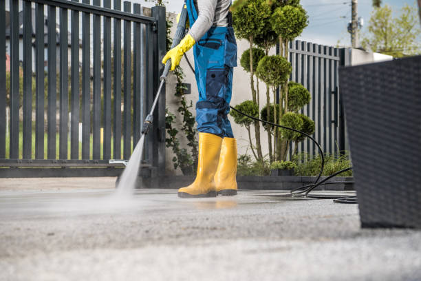 Best Dumpster Area Cleaning  in Fairlea, WV