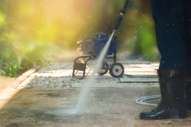 Best Roof Washing  in Fairlea, WV